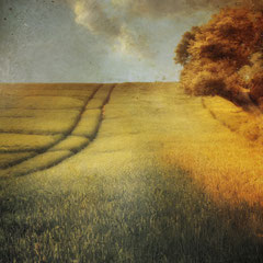 HARVEST