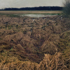 FURTHER THROUGH THE MARSHLAND