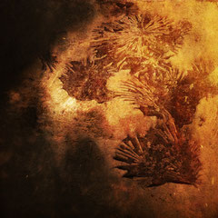 TEXTUROLOGIE 24