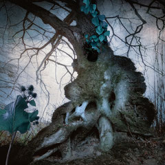 INSOMNIUM