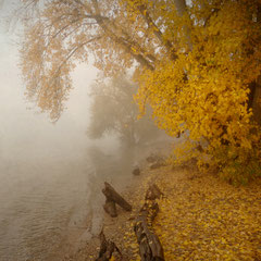 AUTUMN VEIL