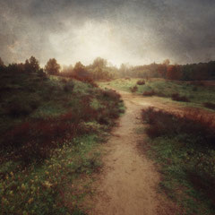 DAYS OF FOG AND WONDER XV