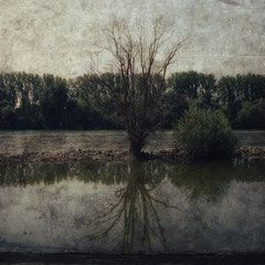 FLOODPLAIN