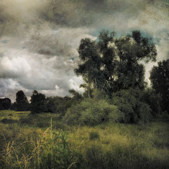 ONE HUNDRED DAYS OF RAIN
