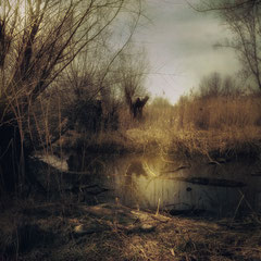 A SHIMMER OF HOPE<br />IN A DARK REALM