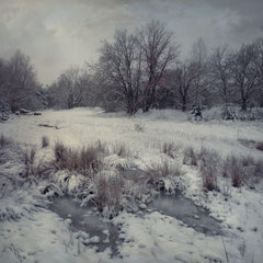 WHEN WINTER CAME TO STAY XI
