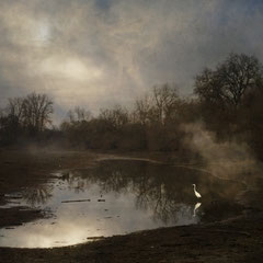 THE CLEARING FOG