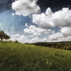 HILLSIDE