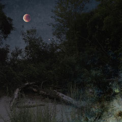 UNDER THE BLOOD RED MOON