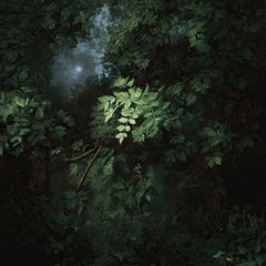 <span style="font-family: Ubuntu Condensed; letter-spacing:0.3em;">BEFORE NIGHT FALLS (REMIX)</span><br>