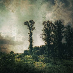 OLD BALLAD