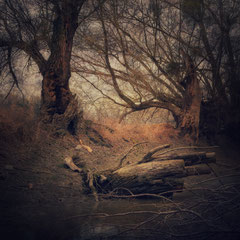 DARKLAND