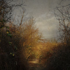 THE SEVENTH PATH