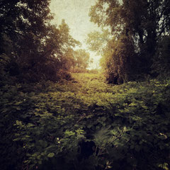 RANDOM PLACES #15