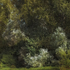 RANDOM PLACES #5