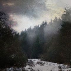 WINTER'S VEIL