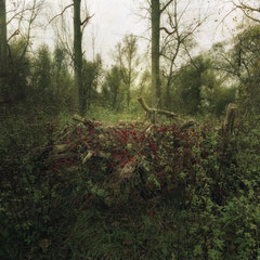 BURIED IN OBLIVION
