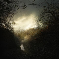 FROZEN PATH