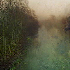 THE MORNING FOG