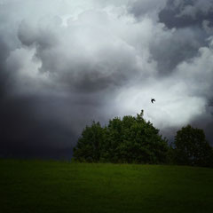 THERE SHALL BE RAIN