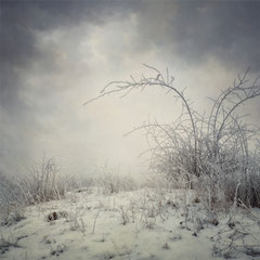 WHEN WINTER CAME TO STAY II