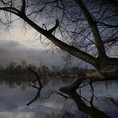 WINTER WAS CALM