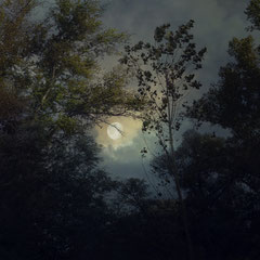 CLAIR DE LUNE