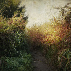 RANDOM PLACES #24