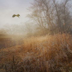 ONE MISTY, MOISTY MORNING
