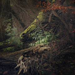 RANDOM PLACES #16