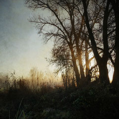 RETURN OF THE SUN I