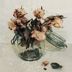 <span style="font-family: Ubuntu Condensed; letter-spacing:0.3em;">STILL LIFE WITH ROSES</span><br>