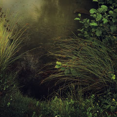 RANDOM PLACES #4