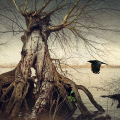 ON DARK WINGS | PART XI