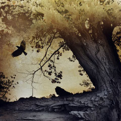 ON DARK WINGS | PART XV