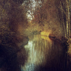MIDAS CREEK