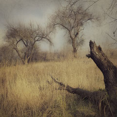 TIME AND MEMORIES