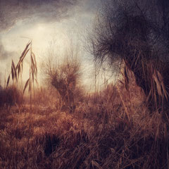WILLOWLAND
