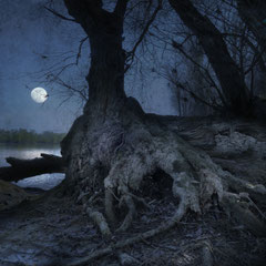 APRIL MOON
