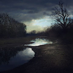 THE ABSENCE OF BIRDS