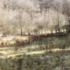AMBIENT