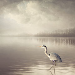 SILENT FOR A WHILE