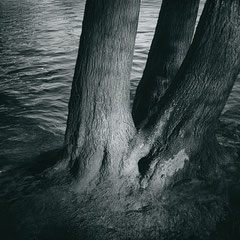 <span style="font-family: Ubuntu Condensed; letter-spacing:0.3em;">MONOCHROME 456</sp