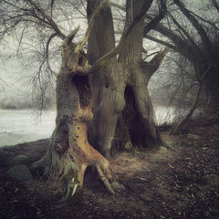 WHERE WE SHALL MEET
