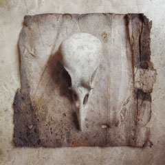 <span style="font-family: Ubuntu Condensed; letter-spacing:0.3em;">SKULL</span><br>