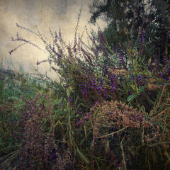 RANDOM PLACES #29