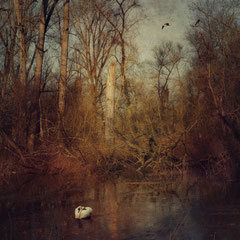 OF RISING RIVERS (I)