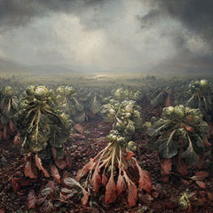 <span style="font-family: Ubuntu Condensed; letter-spacing:0.3em;">BRUSSELS SPROUTS (REMIX)</span><br>