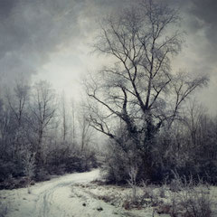 WHEN WINTER CAME TO STAY V
