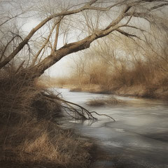 THE FROZEN BROOK I